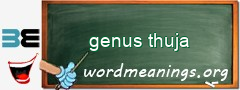 WordMeaning blackboard for genus thuja